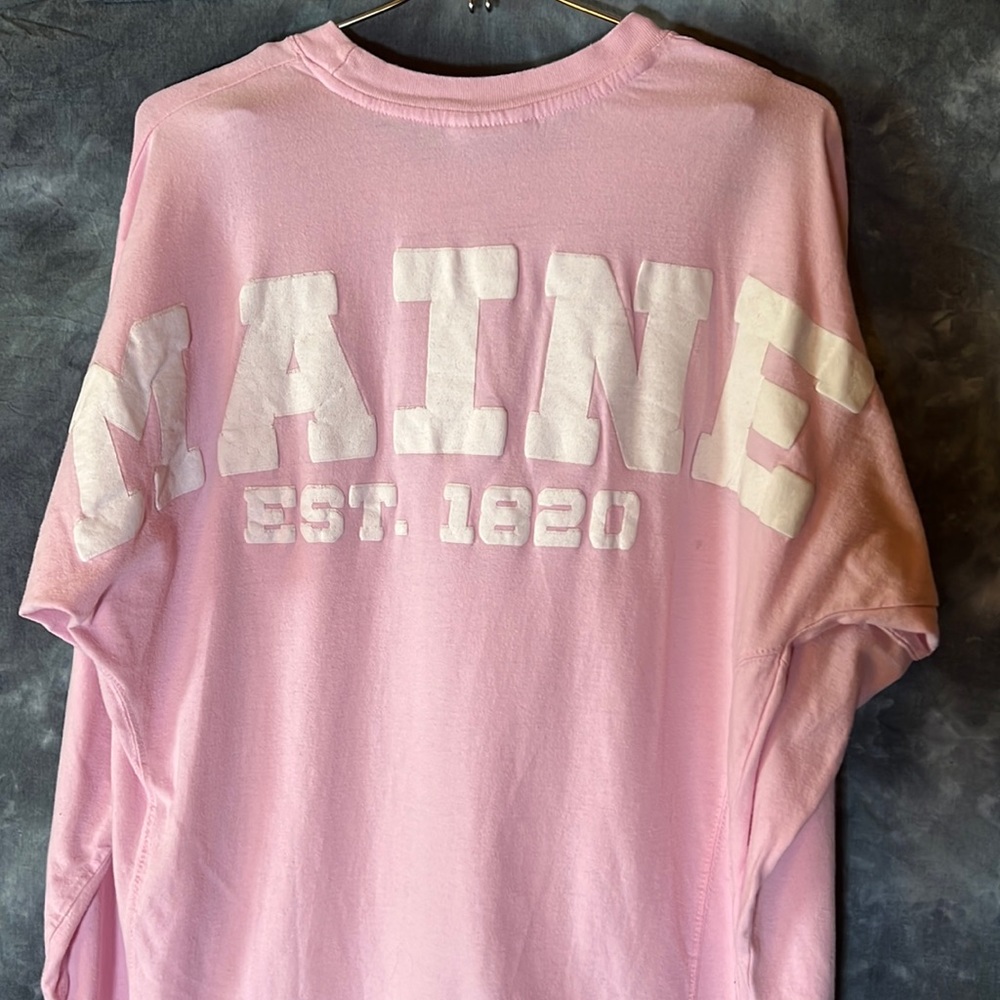 💚 3 for $15 💚 - Ritchie’s Sportswear Distressed MAINE, Bar Harbor, size M